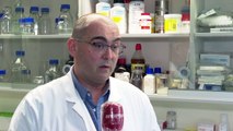 Investigadores valencianos solicitan la patente de una vacuna contra el Covid-19
