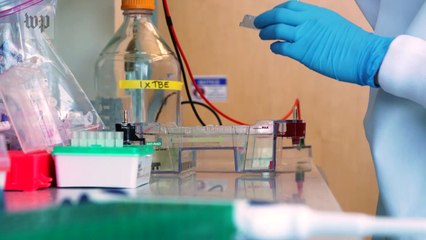 Inside the race to find a coronavirus vaccine and treatment