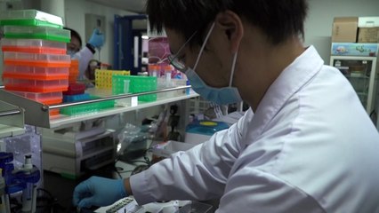 Un laboratorio chino cree poder detener la pandemia "sin vacuna"