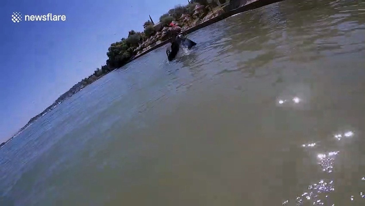 'It's still working!' Metal detecting divers discover luxury watch in Greek waters