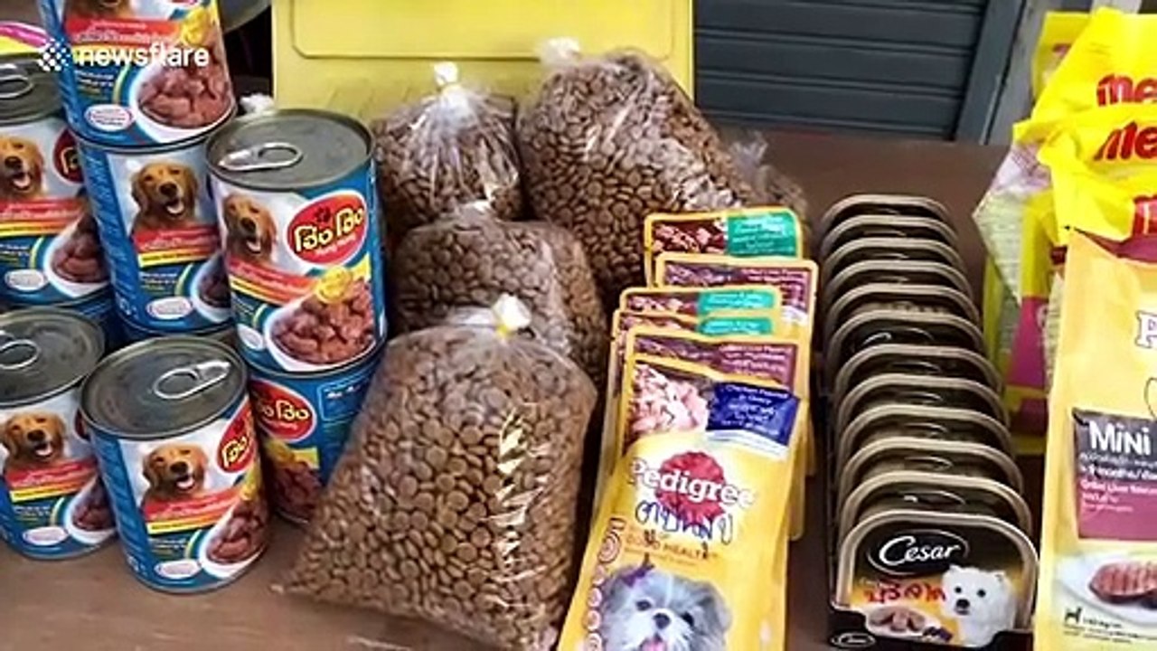 Generous cat lover is giving away free tins of pet food for animals struggling during pandemic