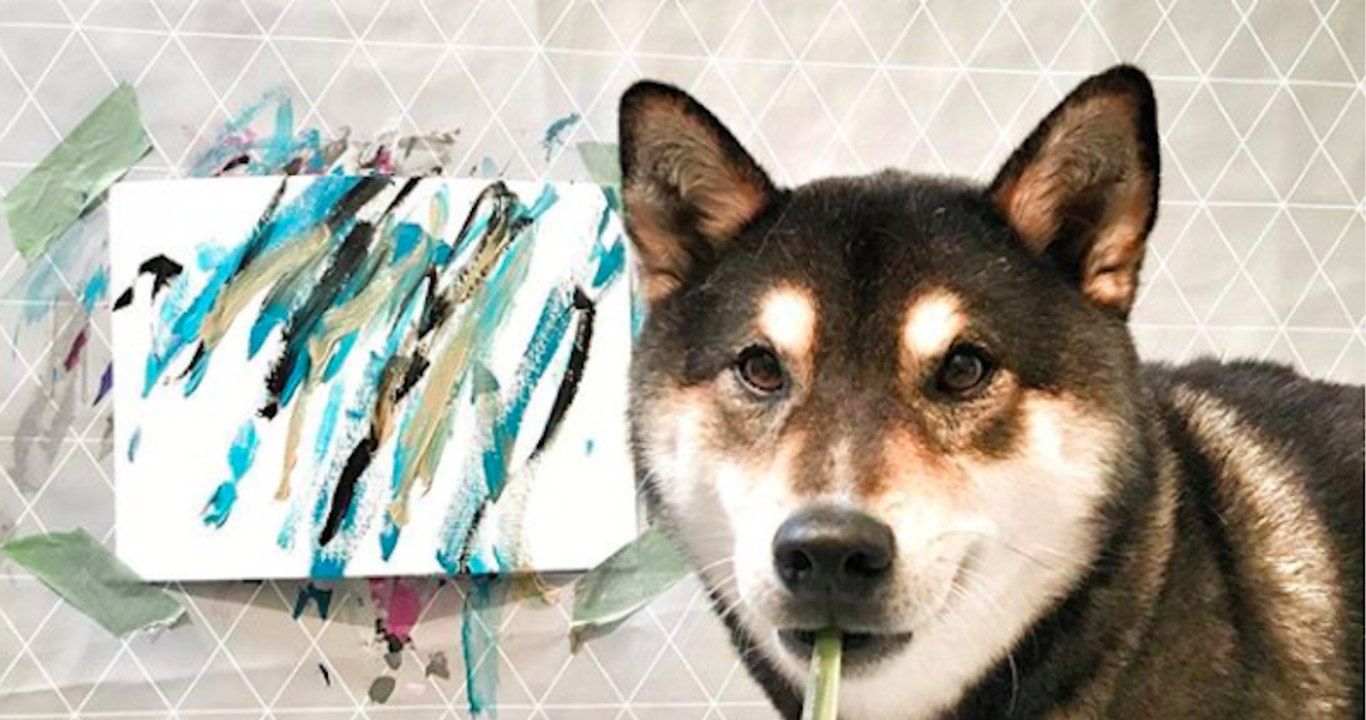 Ce chien est un artiste peintre très talentueux !