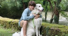 En Occitanie, un adolescent de 14 ans sauve un chien de la noyade dans une rivière