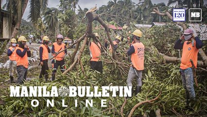 Typhoon ‘Ambo’ left agriculture sector with minimal damage, says DA