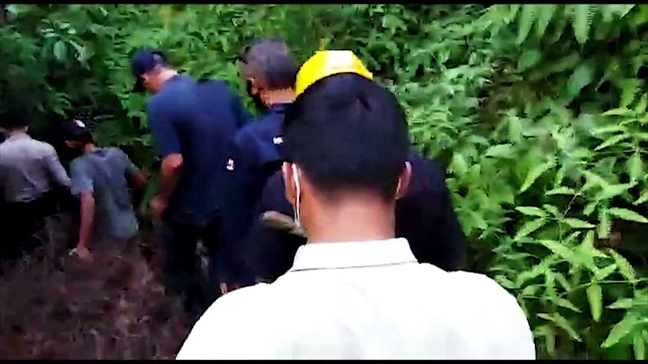 Seltener Sumatra-Tiger offenbar von Wilderern getötet