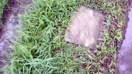 Pesona pulau Bali/Indonesia