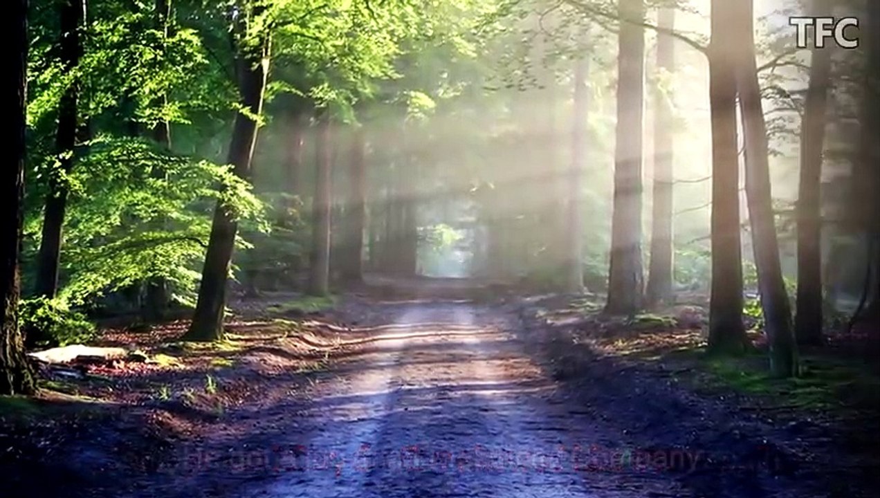 Really Inspiring _ Best Motivational Video Story E(480P)