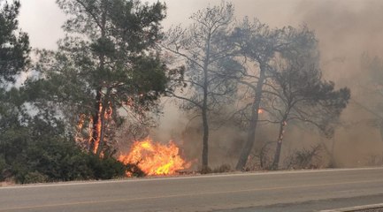 KKTC'deki yangınlarda organize sabotaj ihtimali