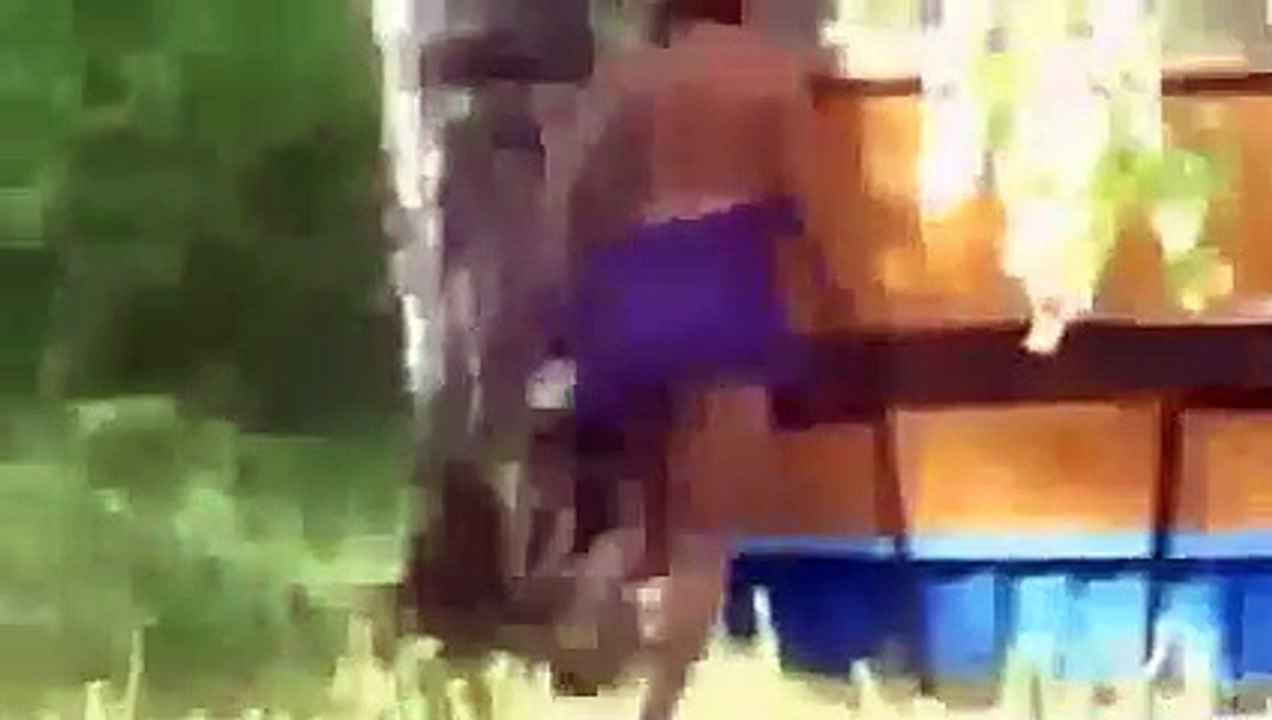 Funny video