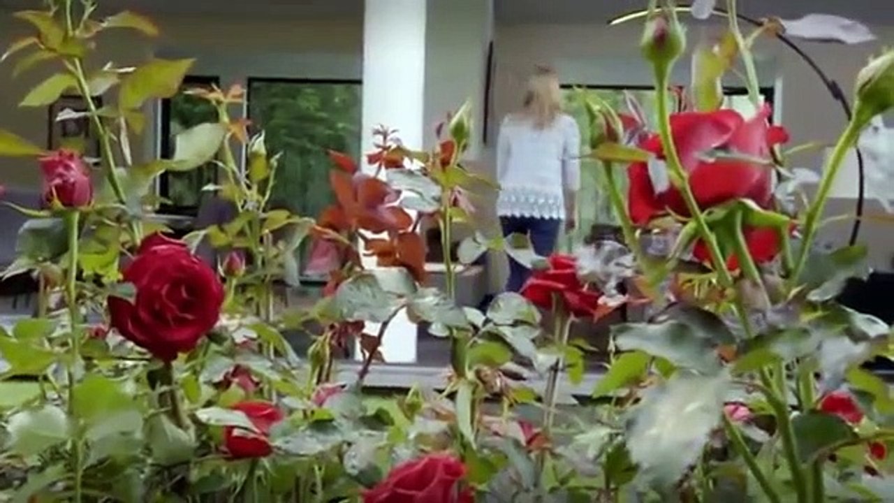 La rosa de Guadalupe El aroma de las rosas Capítulo completo