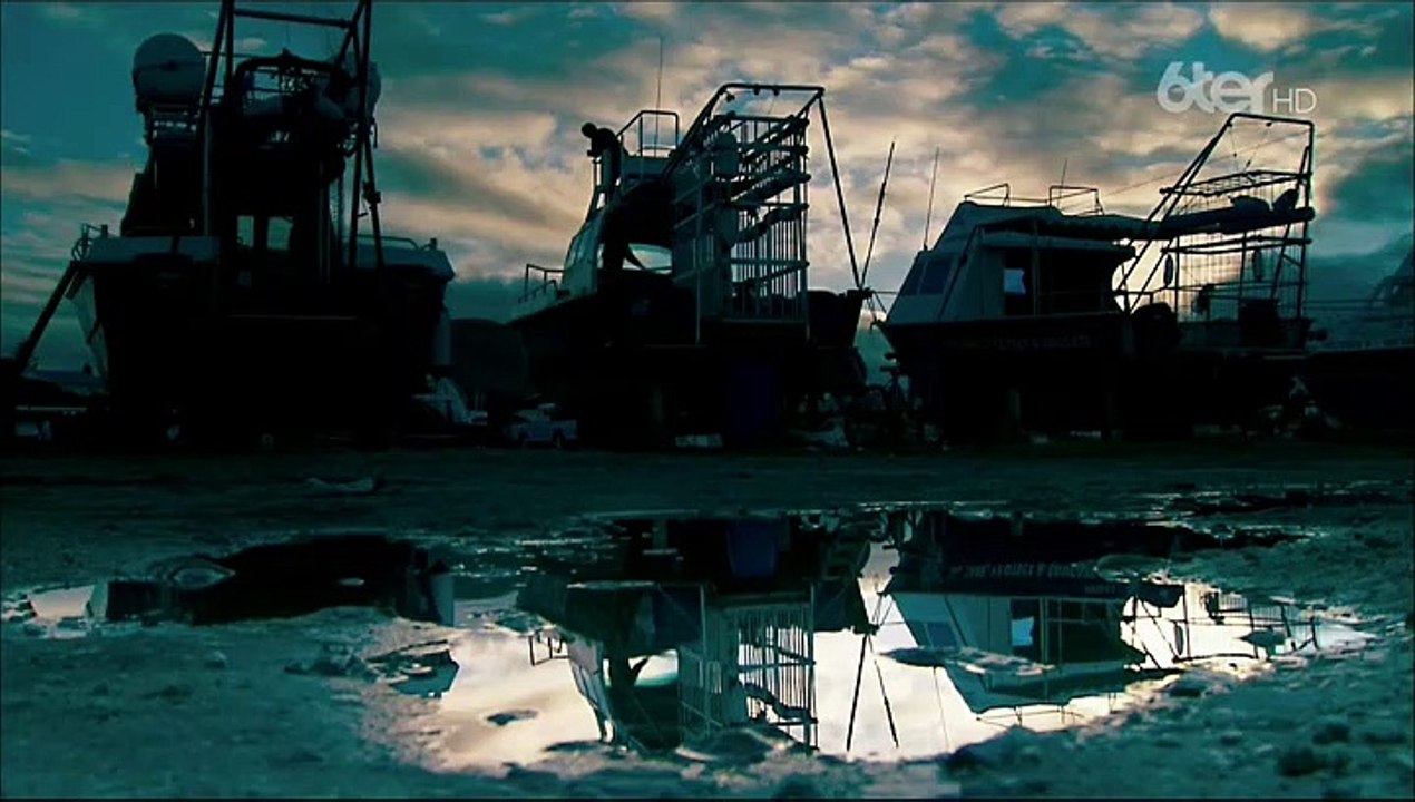 L'homme qui charmait les requins - Mike Rutzen bY ZaMan69