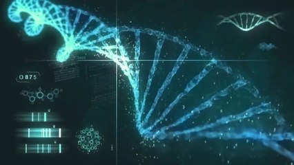 Fingerprints of Our Creator - Origins