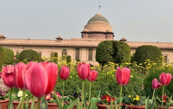 Mughal Gardens to open for public from Tuesday