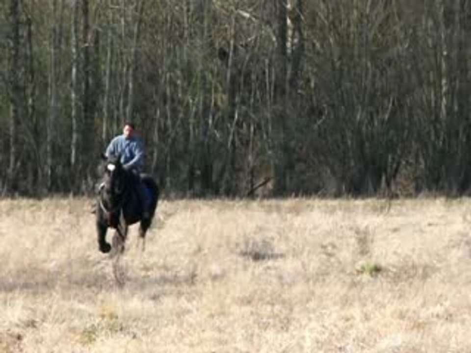 ptit galop puis trot