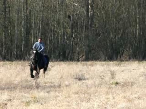 ptit galop puis trot