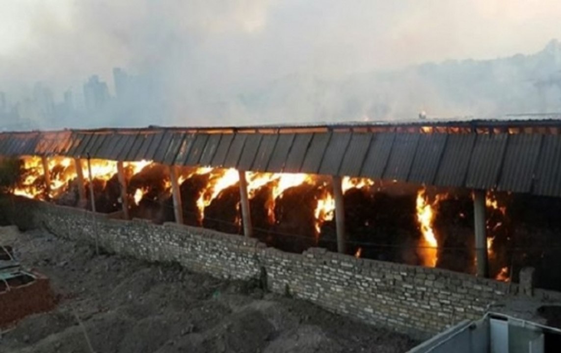 Speed News | Gaushala catches fire in Uttarakhand's Mussoorie