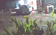 Watch shocking CCTV footage: Tiger catches dog in Maharashtra's Shirdi,