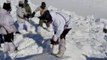 Kupwara avalanche: Seven year-old boy rescued, death toll climbs to eight