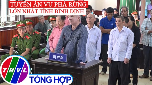 Tuyên án các bị cáo trong vụ phá rừng lớn nhất Bình Định