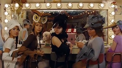 Moonrise Kingdom movie (2012) - Clip - What Kind of Bird Are You?