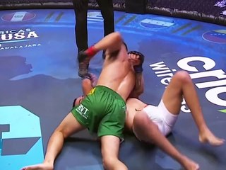 Best MMA knockouts of 2020