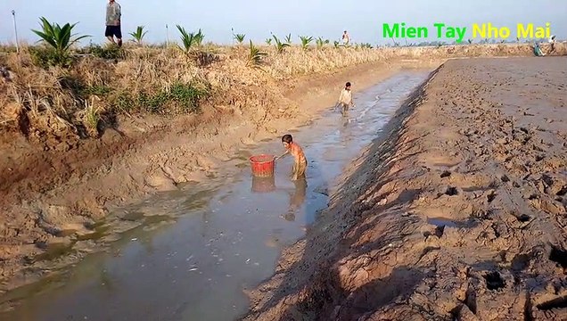 Slapping fish catch all terrible fish/ fish tv