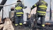 Cão fica devastado ao ver a sua ‘casa’ destruída pelas chamas