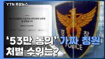 [앵커리포트] '53만 동의' 靑 청원글 가짜...처벌 수위는? / YTN