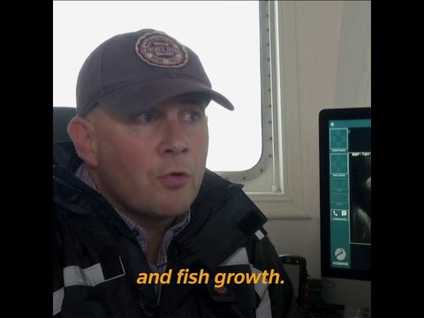 Businesses benefiting from 5G connectivity