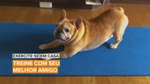 Exercite-se em casa: Treine com seu melhor amigo