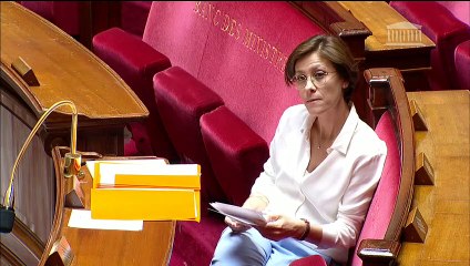 1ère séance : Questions orales sans débat - Mardi 19 mai 2020