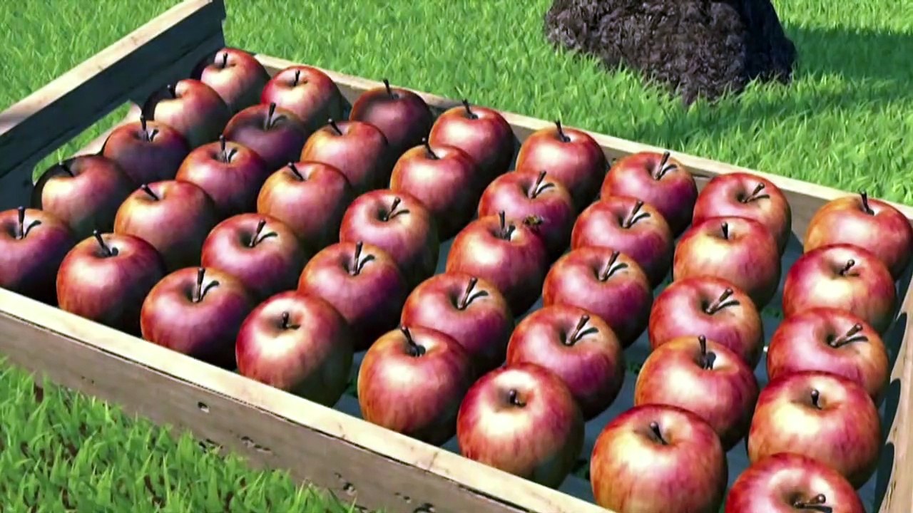 Videografik: Bienensterben