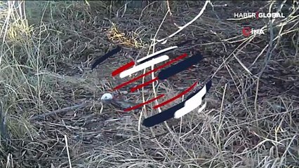 Beyaz kürklü gelincik böyle görüntülendi