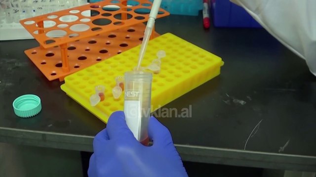 Shkencetaret kineze: Kemi ilaçin ndaj Covid |Lajme - News