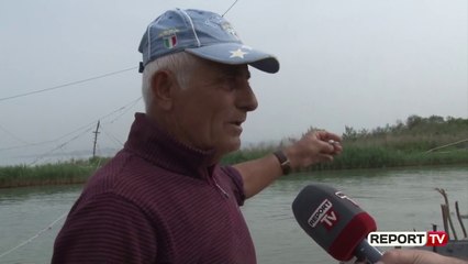 Hetimi për ndotjen masive në grykëderdhjen e Erzenit, peshkatarët për Report Tv: S'jemi ne fajtorët