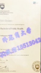 2办理美国【毕业证+成绩单 +文凭认证】搜索【Q微1851304262】可办理【南伊利诺伊大学卡本代尔校区 】教育部留服认证 雅思成绩单  托福成绩单 录取通知书 留信认证 使馆认证 硕士学位认证——Southern Illinois University (SIU) degree