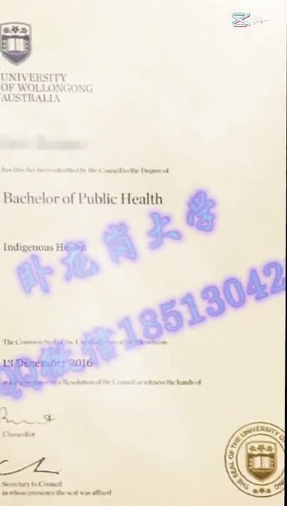 2办理美国【毕业证+成绩单 +文凭认证】搜索【Q微1851304262】可办理【南伊利诺伊大学卡本代尔校区 】教育部留服认证 雅思成绩单  托福成绩单 录取通知书 留信认证 使馆认证 硕士学位认证——Southern Illinois University (SIU) degree