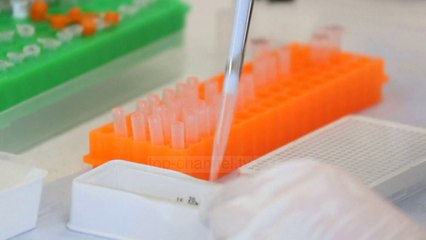 Top News - Vaksina e Oksfordit/ Arrin sukses, të gjithë janë mirë