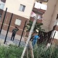 Ankara Batıkent’te sokak hayvanlarını besleyen kişiye komşuları hakaret etti
