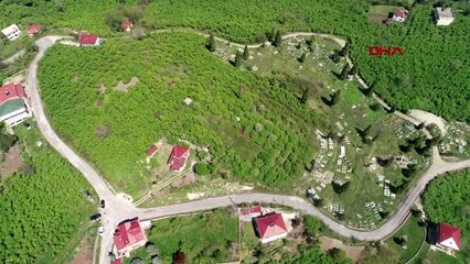 Ordu'da fındık hasadına belediye desteği