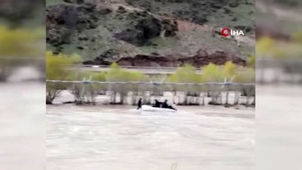 Aras Nehri'ne düşen danayı AFAD ekipleri böyle kurtardı