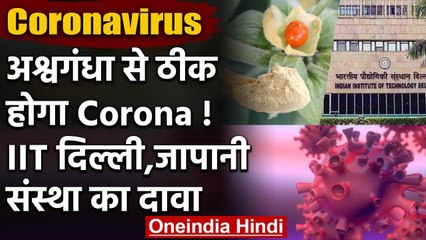Coronavirus Medicine : Ashwagandha से इलाज संभव, IIT दिल्ली, जापानी संस्था की रिसर्च | वनइंडिया हिंदी