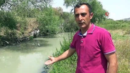 Havran Çayı’nda kirlilik alarmı