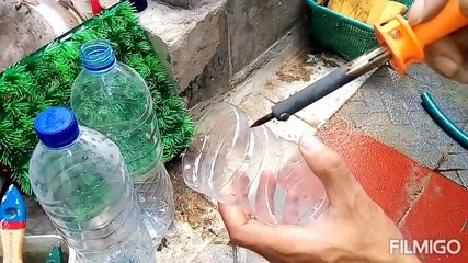 Cara  menanam kangkung  dikolam ikan