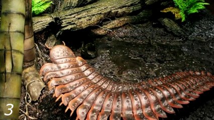 12 Animals You’re Glad Are Extinct