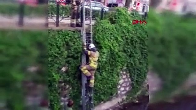 Yaralı martıyı kurtarmak için indiği derede mahsur kaldı