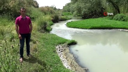 Havran Çayı'nda kirlilik alarmı