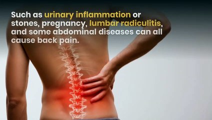 5 possible causes of lower back pain - Shinysleep