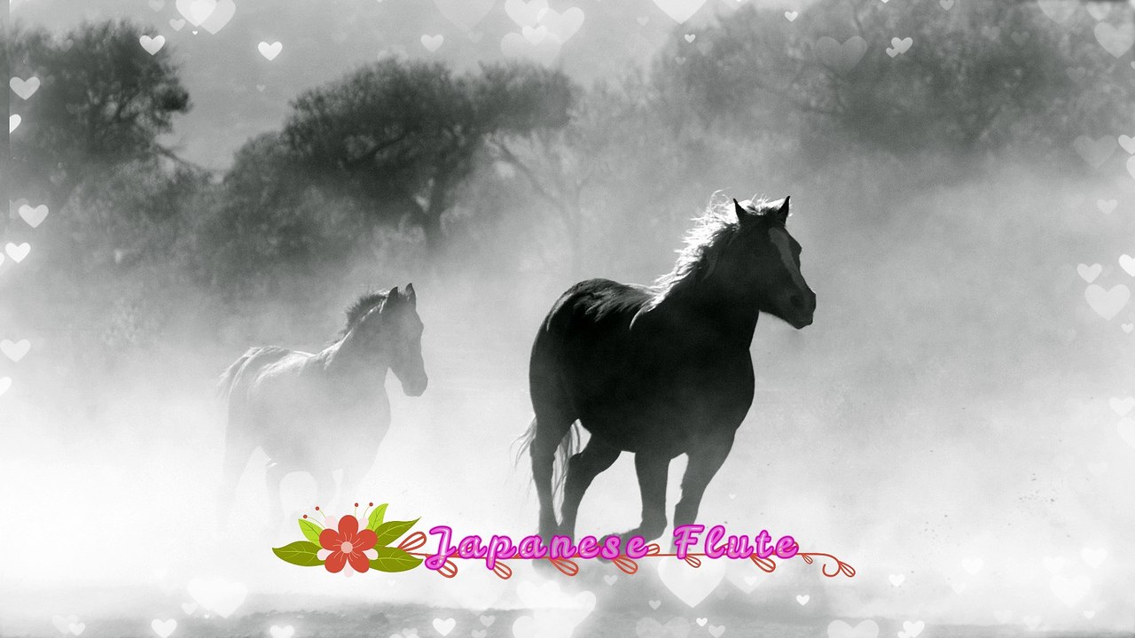 Zen Meditation Music | Japanese Flute Music | Relax, Meditation, Sleep, Ambience