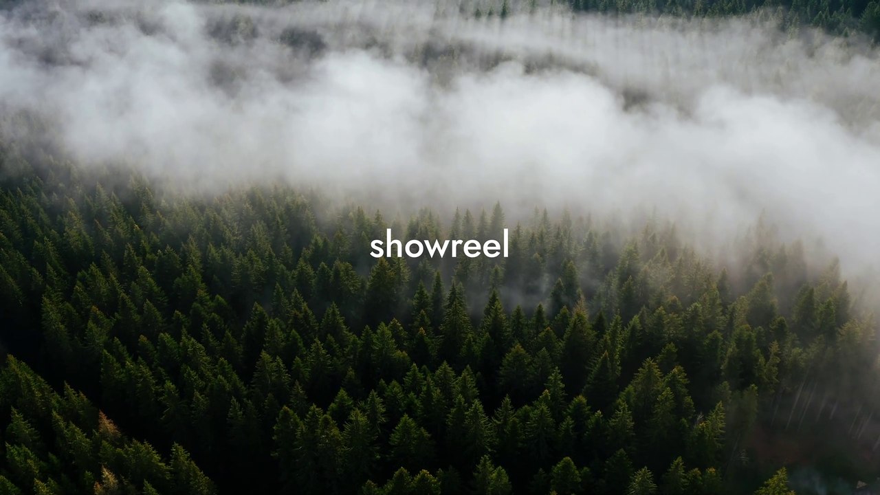 reinis blu:ms | showreel